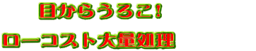   目からうろこ!　 　　         ローコスト大量処理　　　　 